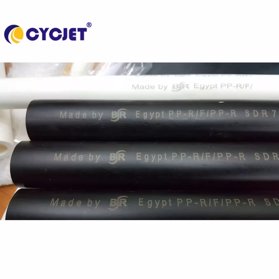 PVC/PPR/HDPE 파이프용 Cycjet Lf30f 레이저 마킹 머신